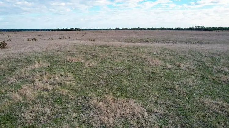 Fifth view of Homely rural property listing, Codrington-Bessiebelle Road, Bessiebelle VIC 3304