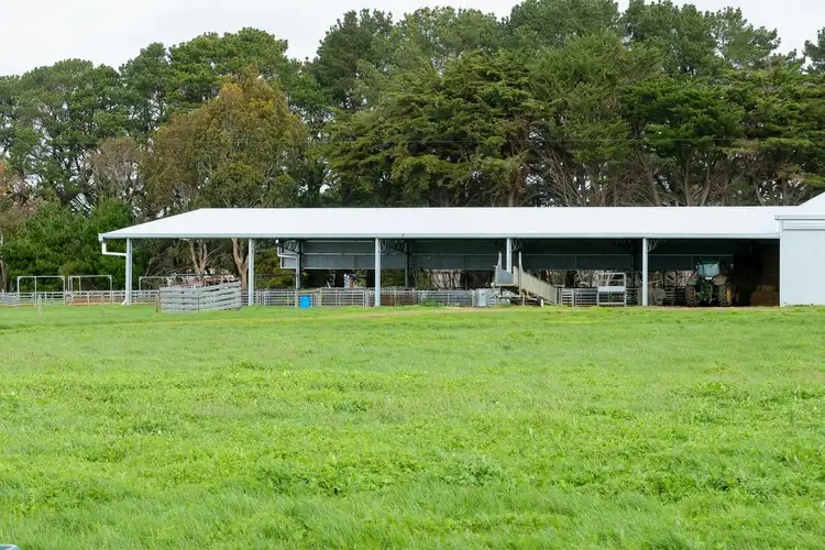Seventh view of Homely rural property listing, 1045 Kangertong Road, Hawkesdale VIC 3287