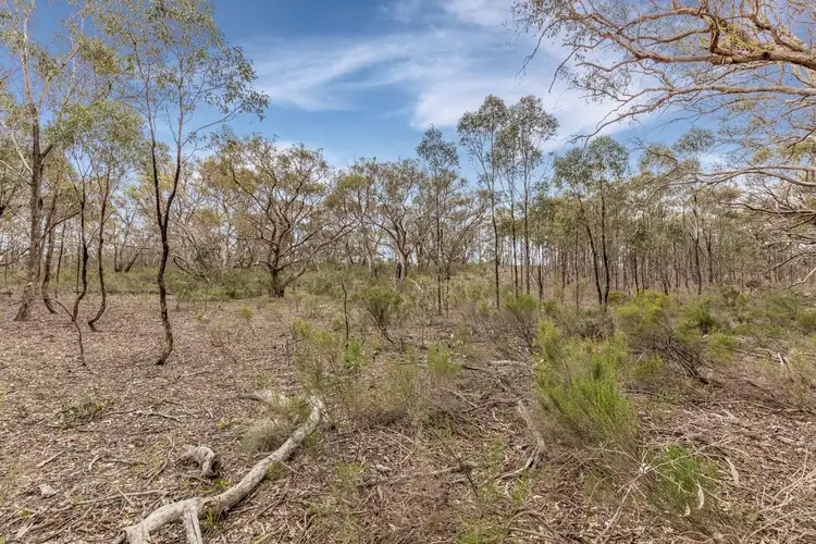 Second view of Homely land listing, Lot 2/135 Chamberlain Road, Cornella VIC 3551
