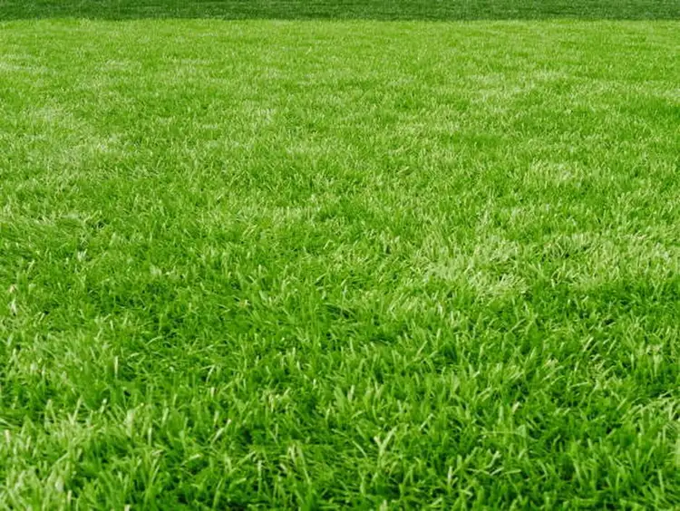 125 Gaskin Rise Estate