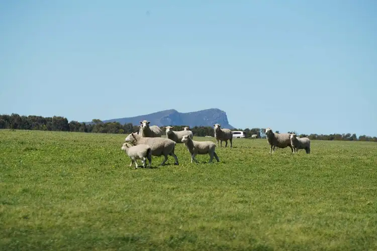 3078 Victoria Point Road, Moutajup VIC 3294