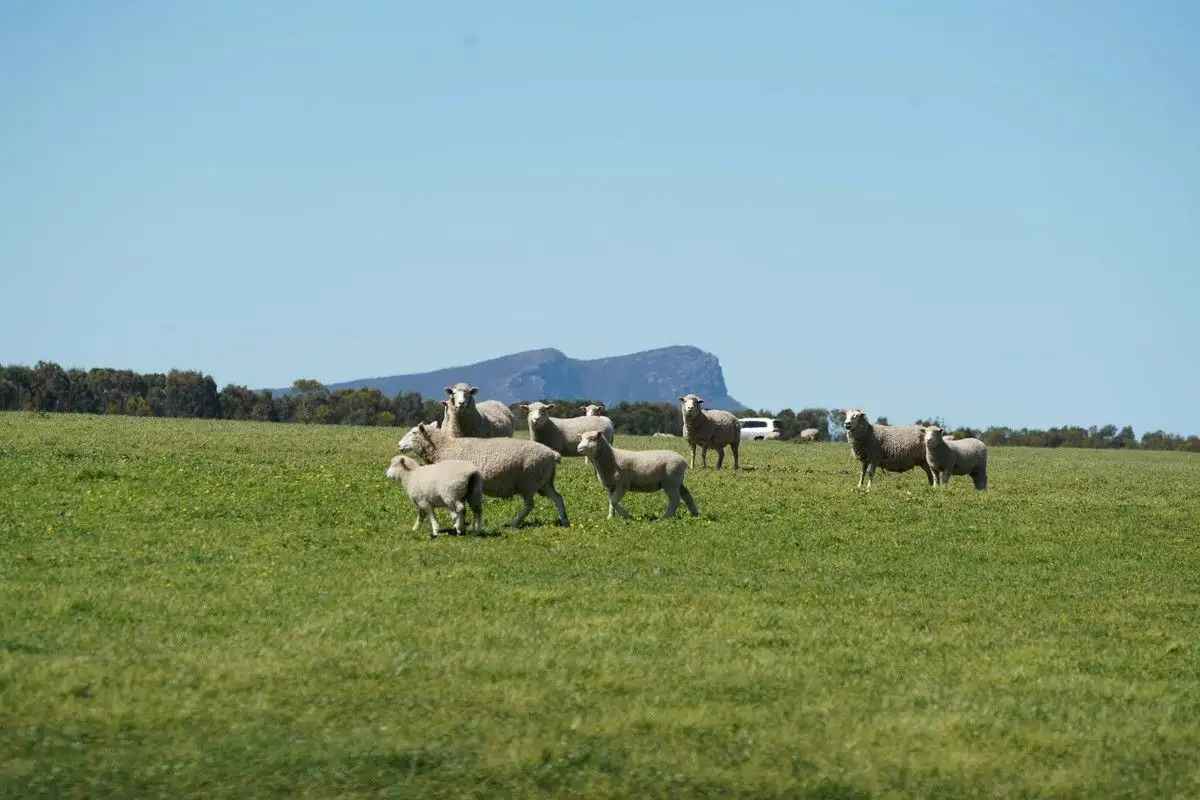 Main view of Homely rural property listing, 3078 Victoria Point Road, Moutajup VIC 3294