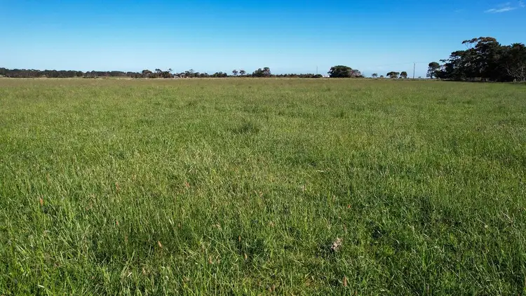 Fifth view of Homely rural property listing, Holdsworths Lane, Mortlake VIC 3272