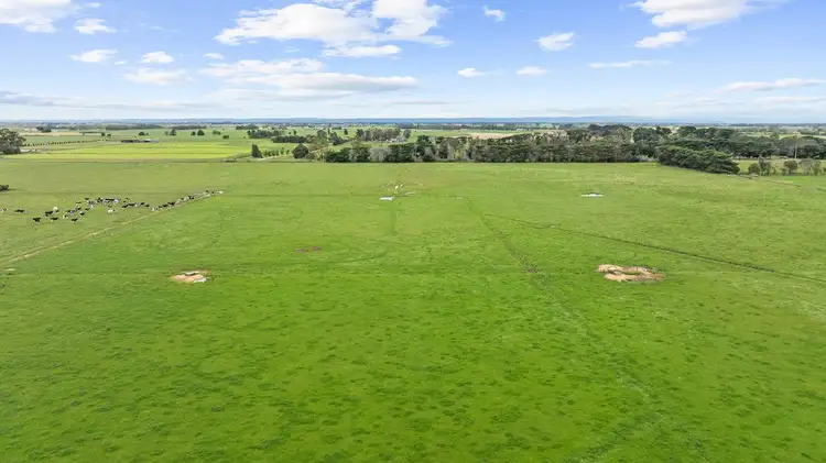 Fifth view of Homely rural property listing, 260 Vardys Road, Riverslea VIC 3860