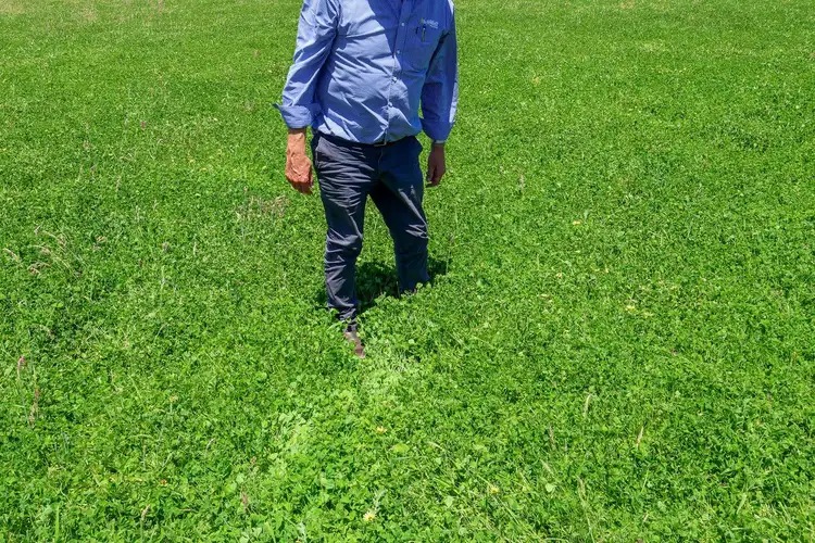 Third view of Homely rural property listing, 'Bakers Hill' 910 Mt Clay Road, Heywood VIC 3304