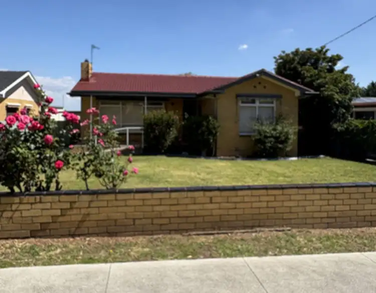 60 Macfarlane Street