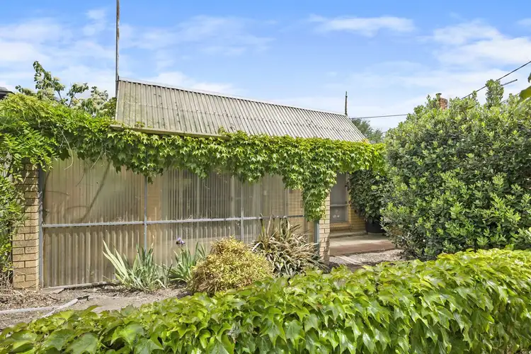 8 Steinfeld St S