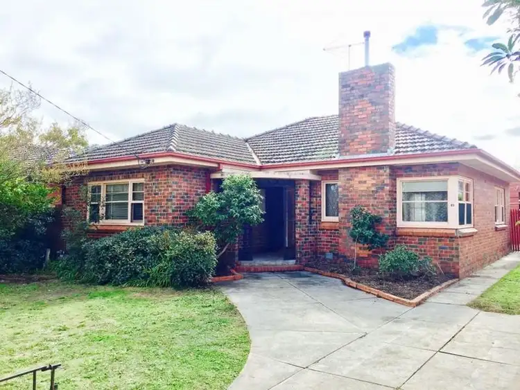 21 Kangaroo Road