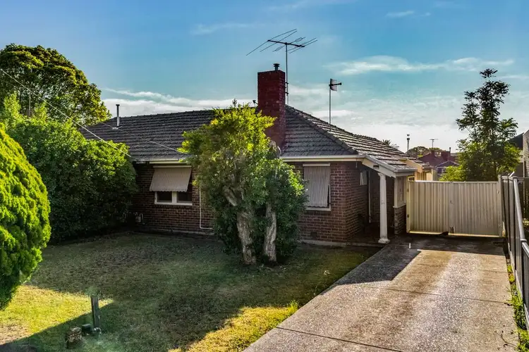 12 Armstrong Street