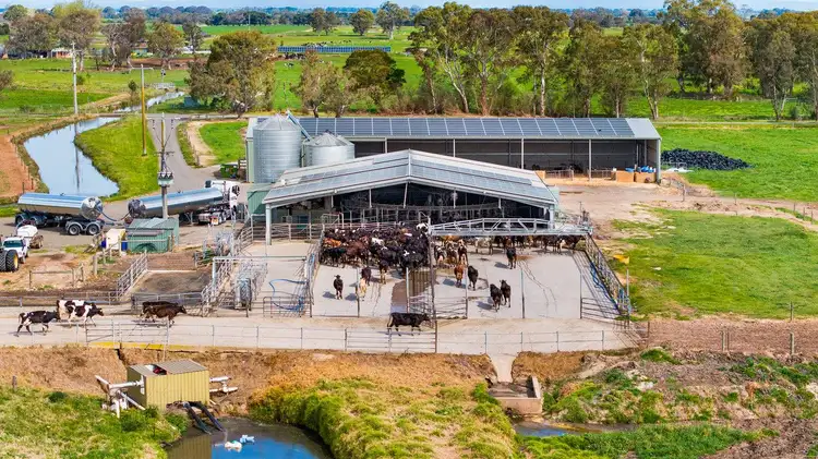 Seventh view of Homely rural property listing, 95 Vardys Road, Riverslea VIC 3860
