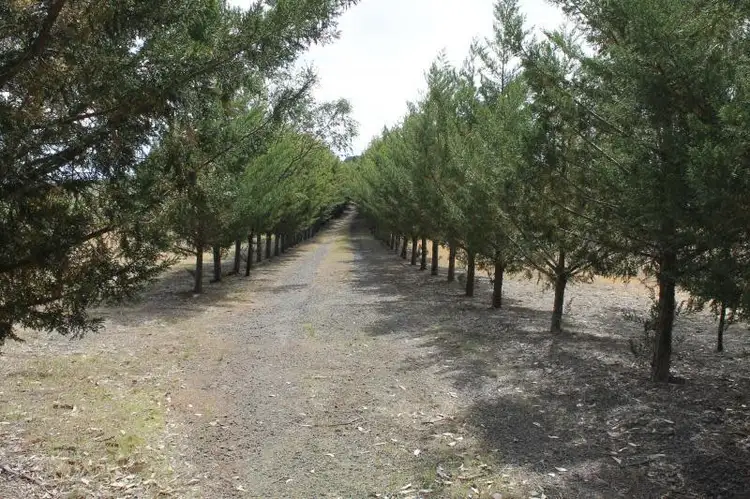 Fifth view of Homely rural property listing, Lot 1 Northern Highway, Heathcote VIC 3523