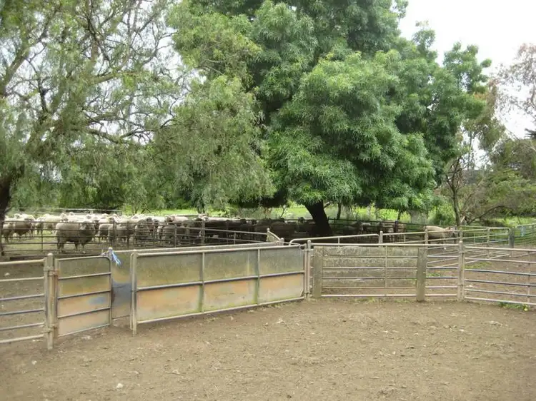 Fifth view of Homely rural property listing, 1439 Tarrone Lane, Tarrone VIC 3283
