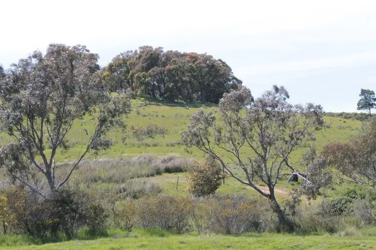 Main view of Homely rural property listing, 115 Maynes Lane, Glenhope VIC 3444