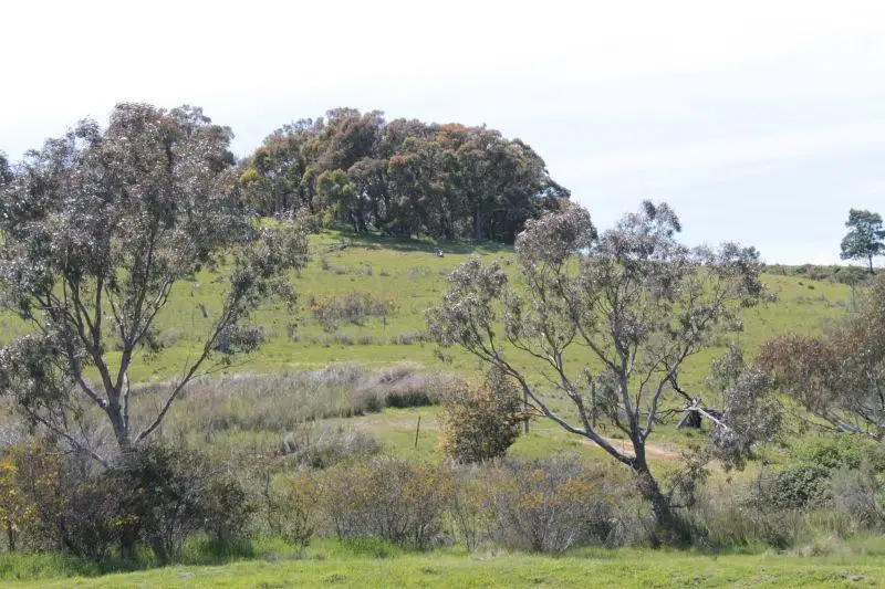 Main view of Homely rural property listing, 115 Maynes Lane, Glenhope VIC 3444