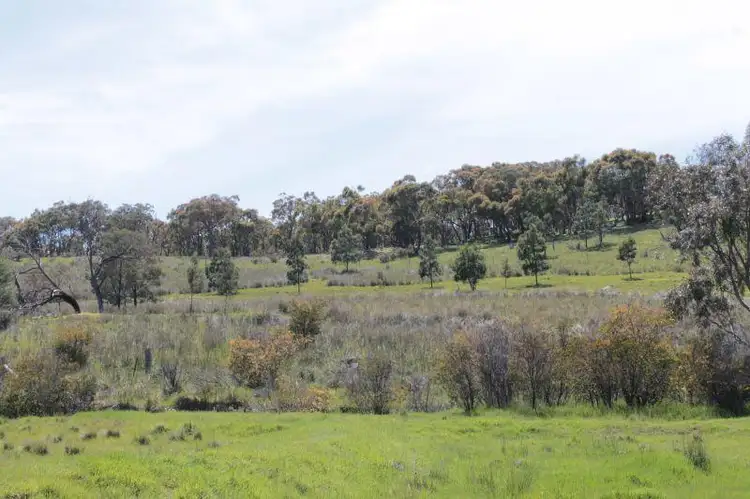 Second view of Homely rural property listing, 115 Maynes Lane, Glenhope VIC 3444