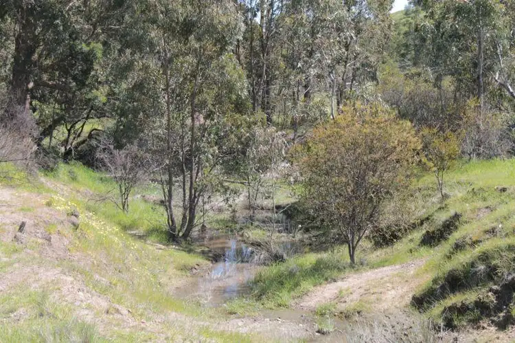 Third view of Homely rural property listing, 115 Maynes Lane, Glenhope VIC 3444