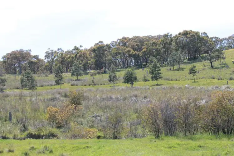 Fifth view of Homely rural property listing, 115 Maynes Lane, Glenhope VIC 3444