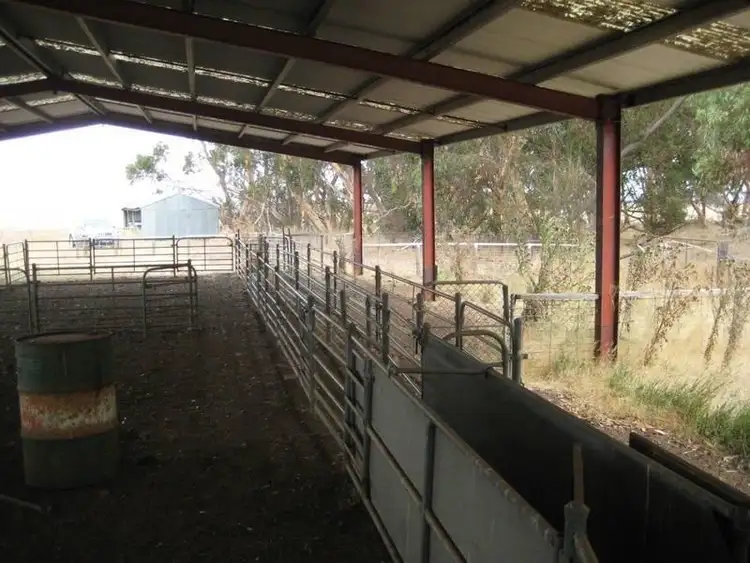 Sixth view of Homely rural property listing, 4284 Hamilton-Chatsworth Road, Nareeb VIC 3293