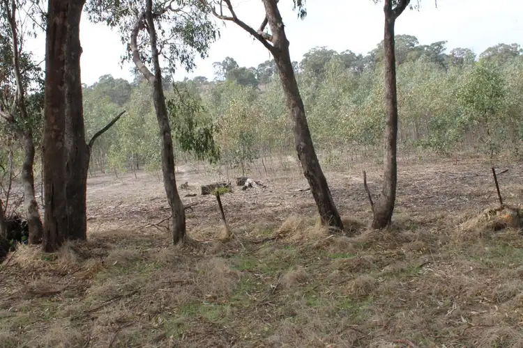 Sixth view of Homely land listing, Allotment 33 Eickerts Lane, Redcastle VIC 3523