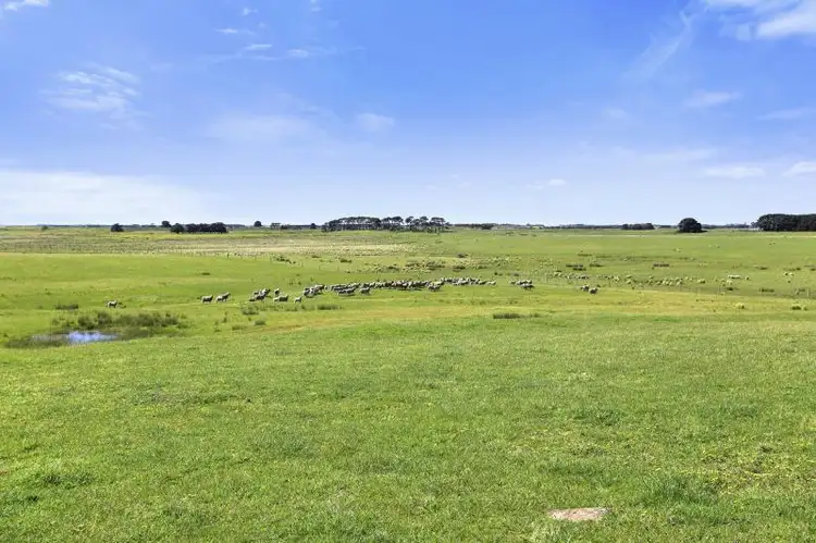 Third view of Homely rural property listing, 803 Tarrone North Road, Tarrone VIC 3283