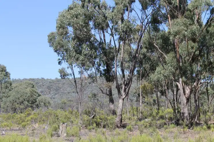 Fourth view of Homely land listing, 205 Youngs Lane, Heathcote VIC 3523