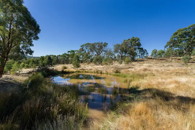Fifth view of Homely rural property listing, Lot 4/585 Pyrenees Highway, Chewton VIC 3451