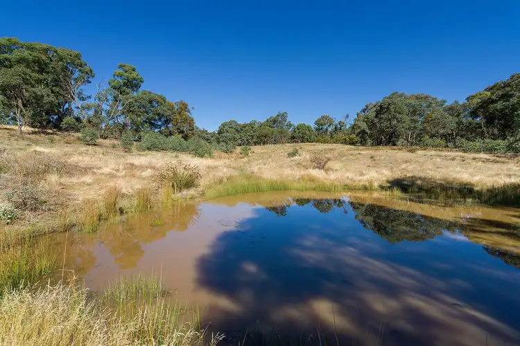 Sixth view of Homely rural property listing, Lot 4/585 Pyrenees Highway, Chewton VIC 3451