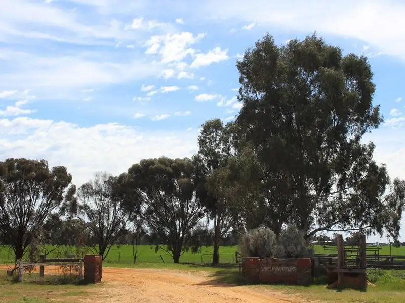 Main view of Homely rural property listing, 298 Arthurs Road, Telopea Downs VIC 3420