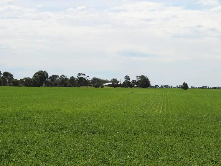Second view of Homely rural property listing, 298 Arthurs Road, Telopea Downs VIC 3420