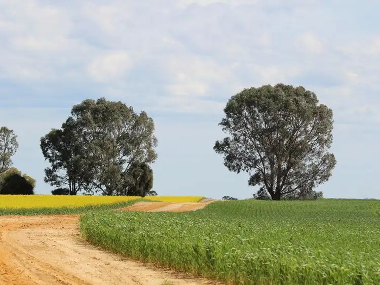 Fifth view of Homely rural property listing, 298 Arthurs Road, Telopea Downs VIC 3420