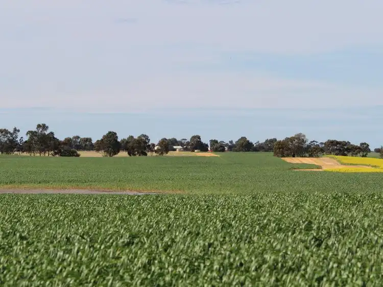 Sixth view of Homely rural property listing, 298 Arthurs Road, Telopea Downs VIC 3420