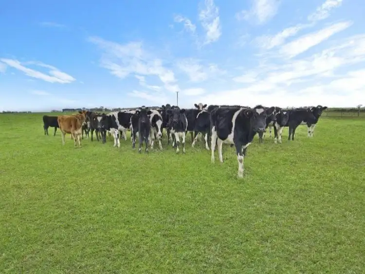 Fifth view of Homely rural property listing, 90 Podgers Lane, Kolora VIC 3265