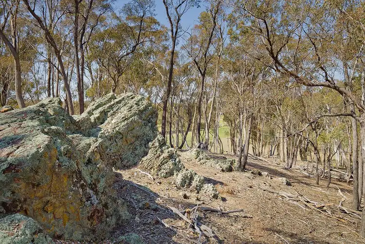 Sixth view of Homely rural property listing, 28 Mia Mia Track, Newstead VIC 3462