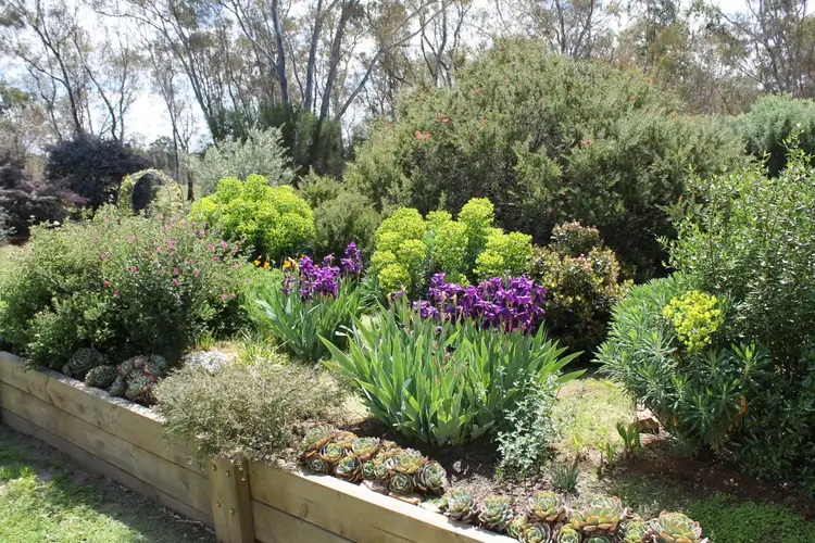 Third view of Homely house listing, 12 Boughyard Lane, Heathcote VIC 3523