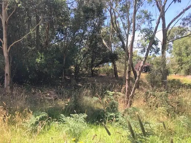 Fourth view of Homely land listing, 1652 Timboon-Curdievale Road, Curdievale VIC 3268