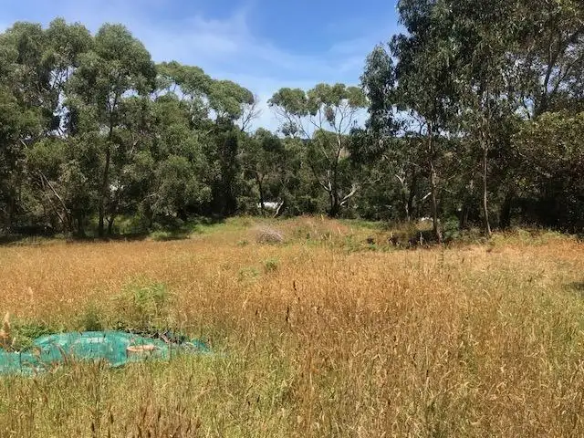 Fifth view of Homely land listing, 1652 Timboon-Curdievale Road, Curdievale VIC 3268