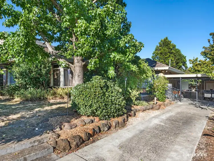 Second view of Homely house listing, 19 Mitta Street, Box Hill North VIC 3129