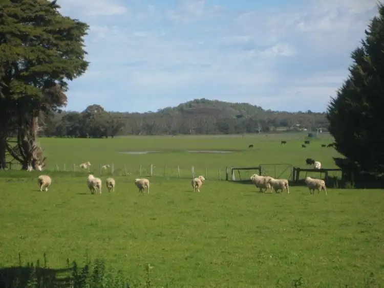 Second view of Homely rural property listing, 8 Ardonachie School Road, Macarthur VIC 3286