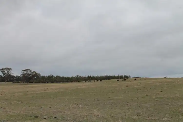 Fifth view of Homely land listing, Lots 5 & 6 Murphys Lane, Knowsley VIC 3523