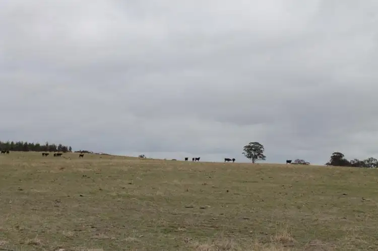 Sixth view of Homely land listing, Lots 5 & 6 Murphys Lane, Knowsley VIC 3523