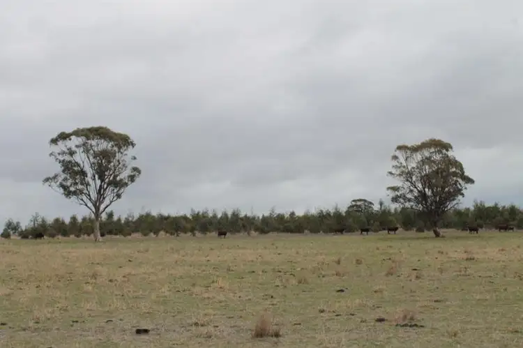 Seventh view of Homely land listing, Lots 5 & 6 Murphys Lane, Knowsley VIC 3523