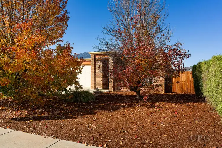 Fifth view of Homely house listing, 61 Blanket Gully Road, Campbells Creek VIC 3451