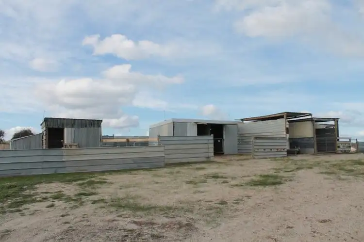 Fifth view of Homely rural property listing, 376 Spring Plains Road, Heathcote VIC 3523