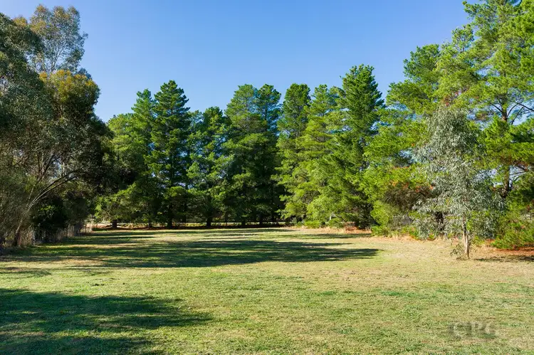 545 Maldon-Newstead Road, Welshmans Reef VIC 3462