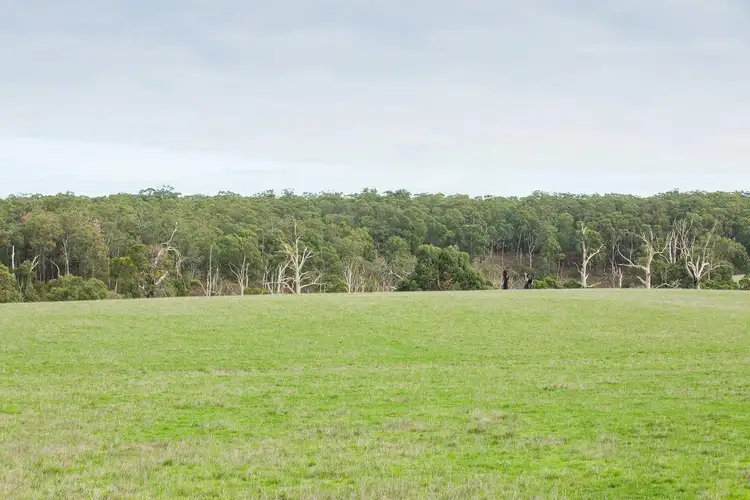 Sixth view of Homely rural property listing, 1690 Ellerslie-Panmure Road, Panmure VIC 3265