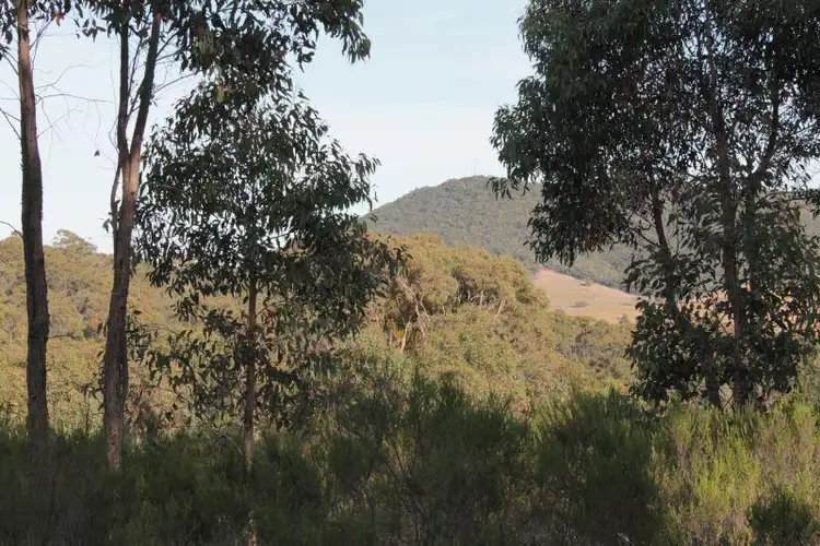 Main view of Homely rural property listing, C/A S4 Hall Road, Heathcote VIC 3523