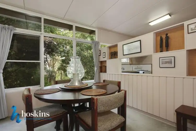Fourth view of Homely house listing, 14 Pine Crescent, Ringwood North VIC 3134