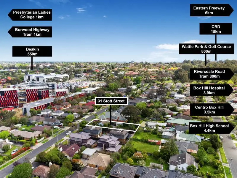 Main view of Homely house listing, 31 Stott Street, Box Hill South VIC 3128