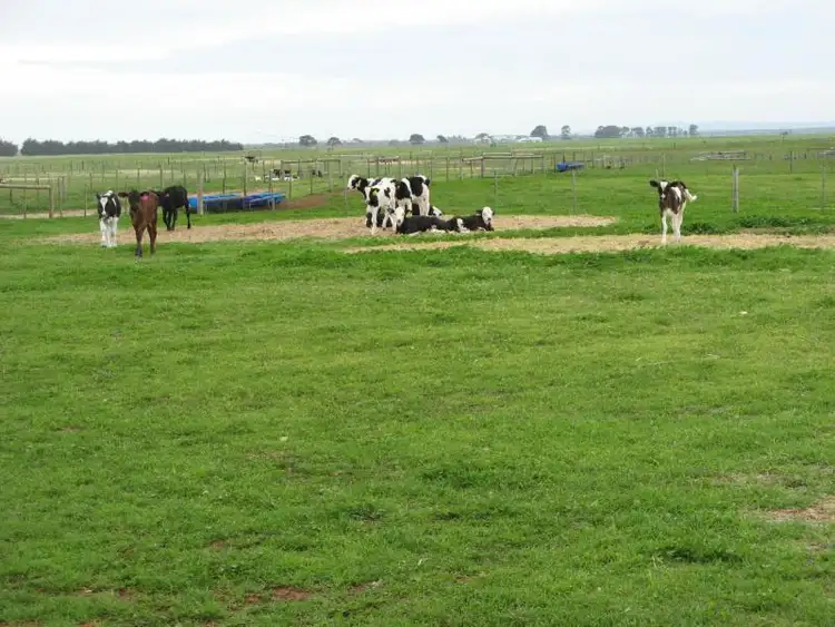 Third view of Homely rural property listing, 1793 Carpenters Rocks Road, Kongorong SA 5291