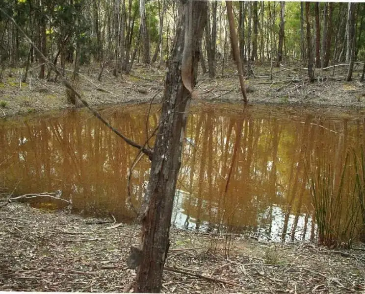 Fourth view of Homely land listing, 129 Sharpes Lane, Glenlyon VIC 3461
